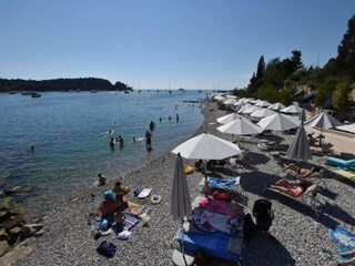 Vakantiehuis Rovinjsko Selo Omgeving 32