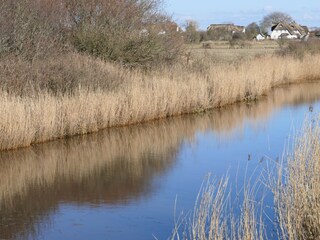 Ferienwohnung Oldsum auf Föhr Umgebung 31