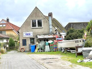 Ferienwohnung Zingst Umgebung 17