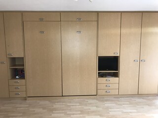 Living room / Bedroom