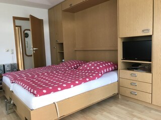 Living room / Bedroom