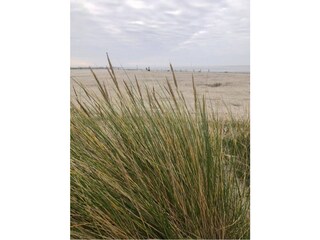 Strand Norddeich