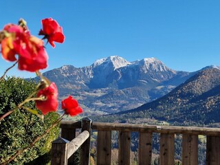 Holiday house Schönau am Königssee Environment 29