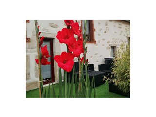 Ferienhaus Chorey-les-Beaune Außenaufnahme 5