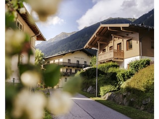 Ferienhaus Bad Gastein Außenaufnahme 2