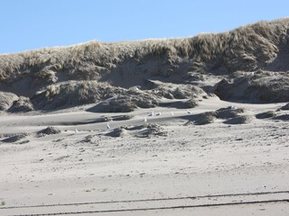 Casa per le vacanze De Koog Ambiente 21