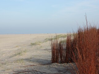 Casa per le vacanze De Koog Ambiente 22