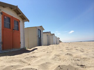 Casa per le vacanze De Koog Ambiente 23