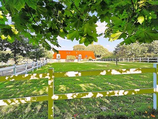 Fewo Buddha auf dem Seminarhof an der Ostsee