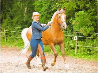 Fewo Buddha auf dem Seminarhof an der Ostsee