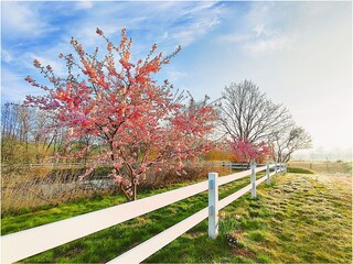 Fewo Buddha auf dem Seminarhof an der Ostsee