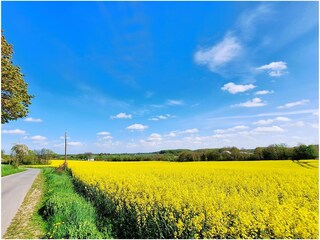 Fewo Buddha auf dem Seminarhof an der Ostsee