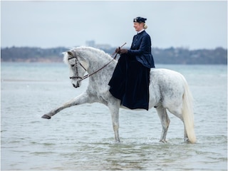 Fewo Buddha auf dem Seminarhof an der Ostsee