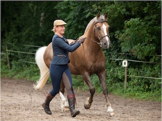 Fewo Buddha auf dem Seminarhof an der Ostsee