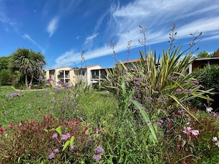 Parco vacanze Peschiera del Garda Registrazione all'aperto 11