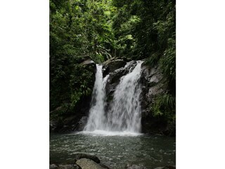 Wasserfall im Norden Martiniques - Pexel.com