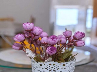 Apartamento Doli  13