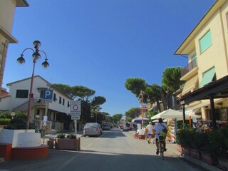 Apartment Castagneto Carducci Environment 35