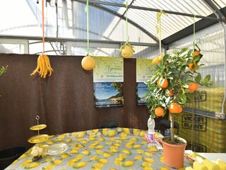 Vakantiehuis Trarego Viggiona Omgeving 26