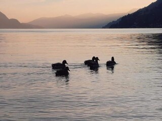 Holiday house Trarego Viggiona Environment 38