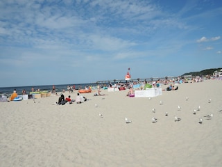 Vakantiehuis Misdroy Omgeving 21