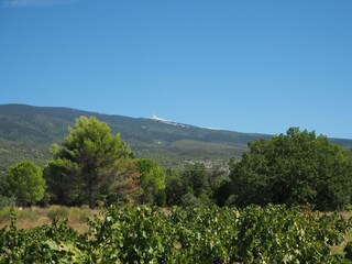 Maison de vacances Bedoin Environnement 28