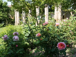 Blick auf die Orangerie vom Casa Artuico