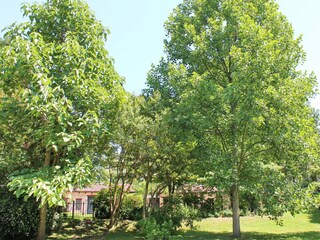 Vakantiehuis Strassoldo Buitenaudio-opname 3