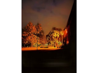 Nachtansicht des Parks