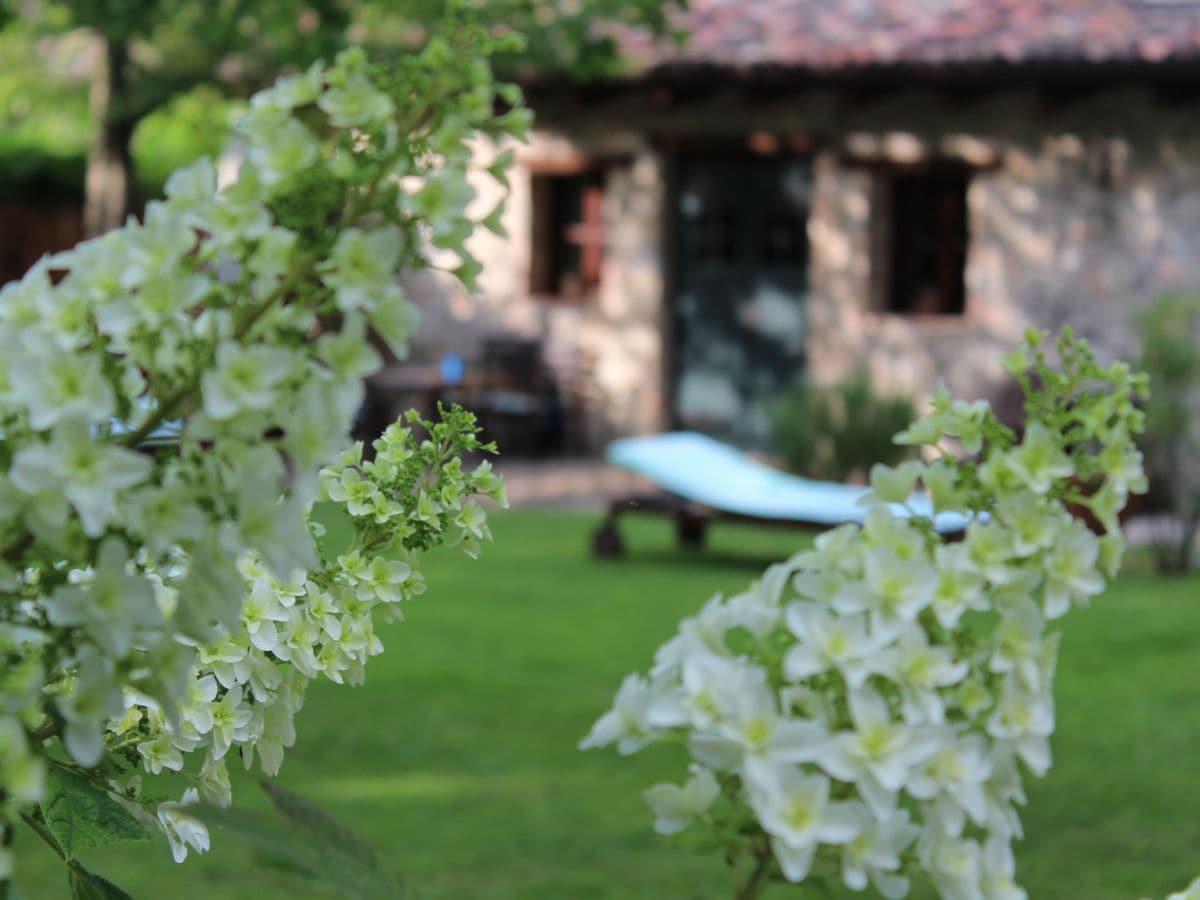 Casa Artuico and its private garden