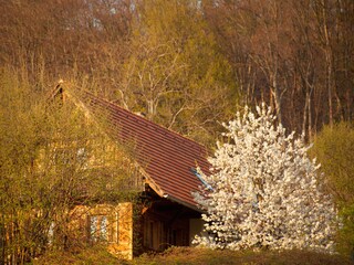 Casa per le vacanze Straden Registrazione all'aperto 5