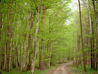 Holiday house Straden Environment 22