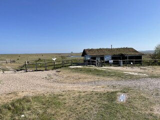 Das Vogelnaturschutzgebiet