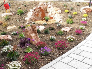 die ersten Blümchen beginnen zu blühen