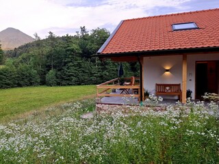 ringsum Natur pur