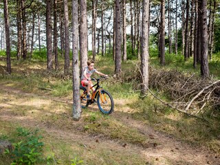 Bungalow Oosterend Umgebung 19