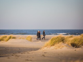 Bungalow Oosterend Umgebung 22