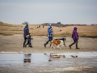 Bungalow Oosterend Environment 24