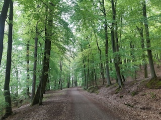 Wanderweg Wolgastsee
