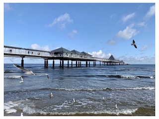 Seebrücke Heringsdorf