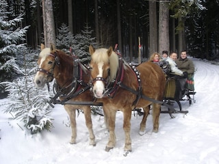 Ferienhaus Bergen im Vogtland  24