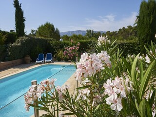 Ferienpark Nans-les-Pins Außenaufnahme 5