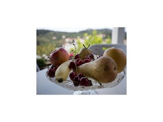 Apartment Koločep Außenaufnahme 4