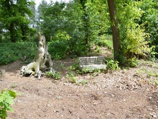 Ferienhaus Wellerlooi Außenaufnahme 2