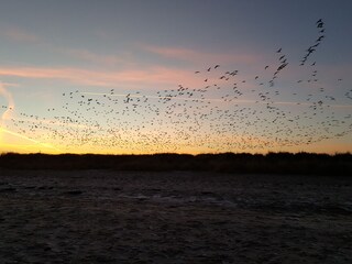 Casa per le vacanze Ostseebad Schönhagen Ambiente 27