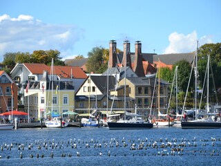 Hafen in Kappeln ca 7 km entfernt