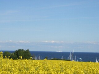 Casa per le vacanze Ostseebad Schönhagen Ambiente 23
