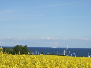 Vakantiehuis Ostseebad Schönhagen Omgeving 23