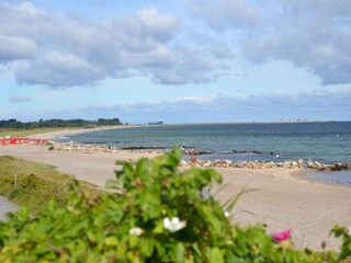 Strand mit Blick Richtung Port Olpenitz