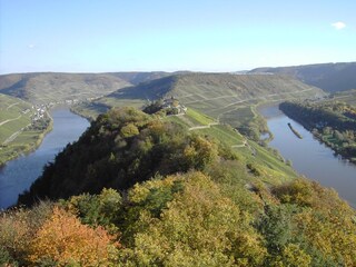 Blick vom Prinzenkopf auf die Marienburg